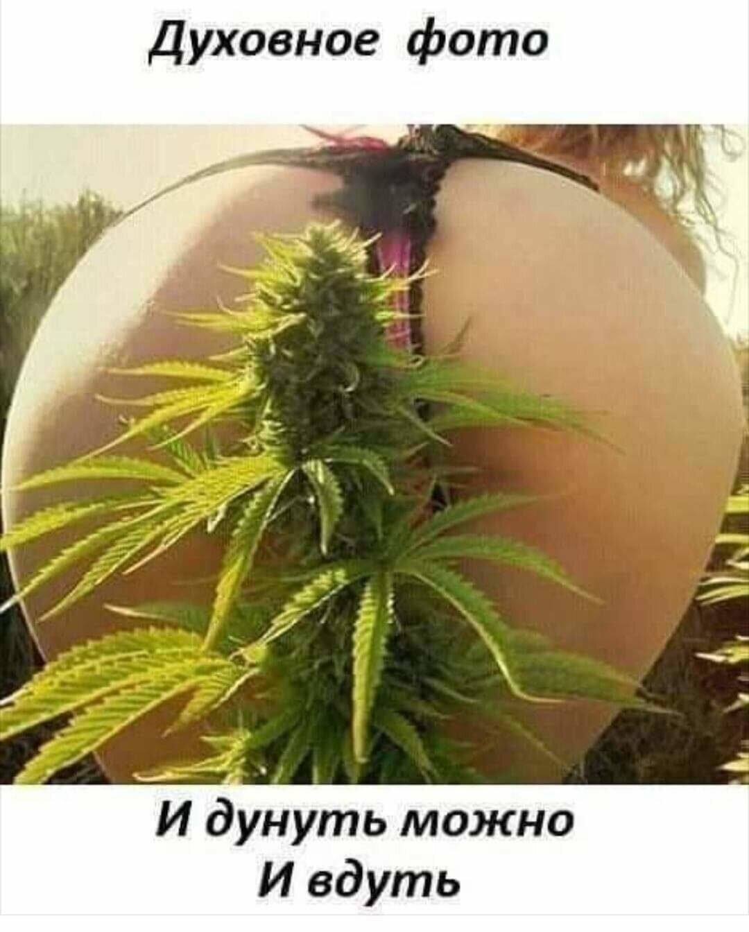 Саманта Сэйнт порнозвезда