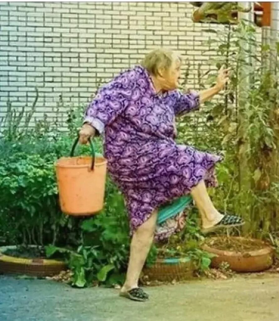 Смешная бабушка на даче