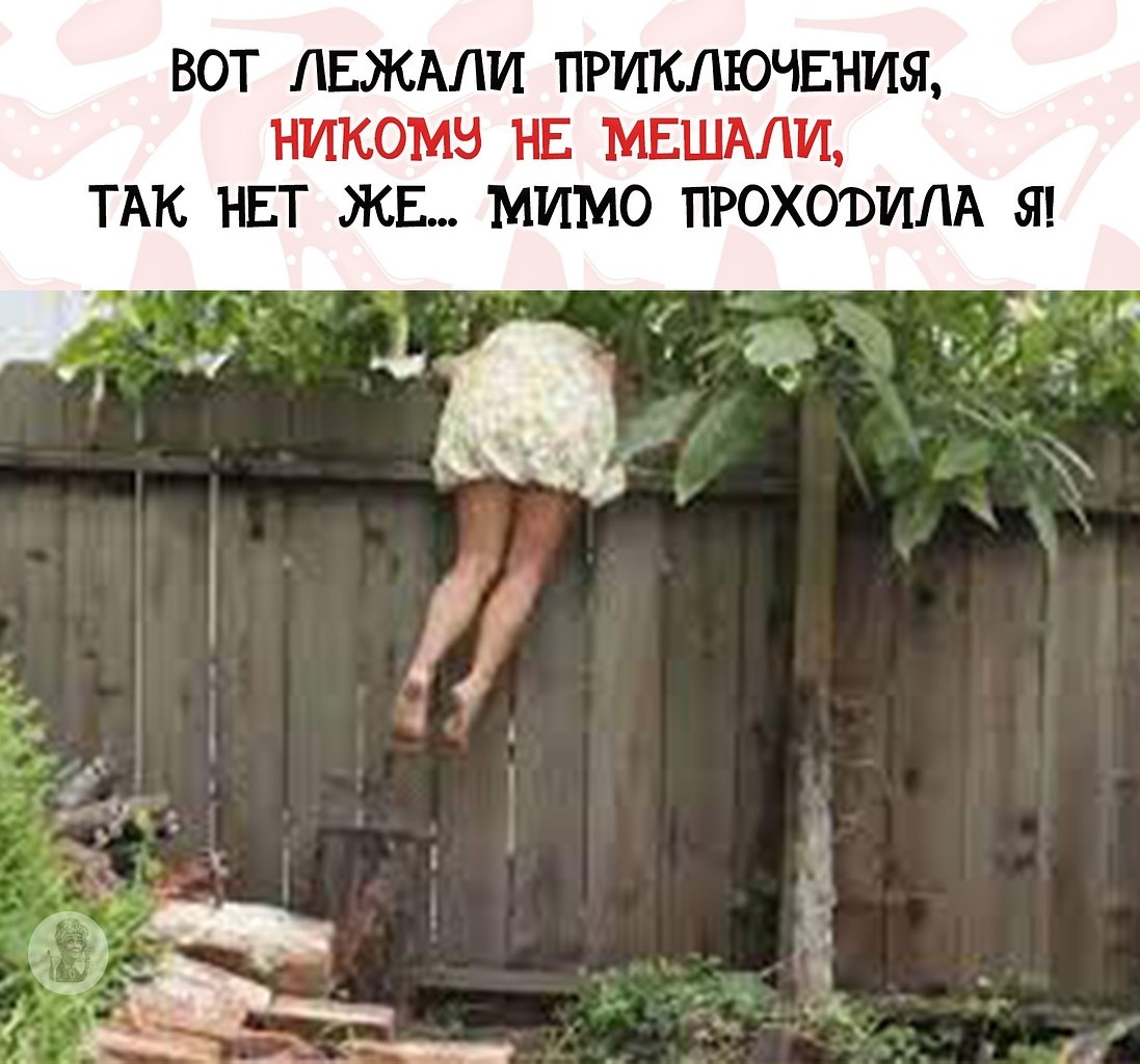 Девушка через забор