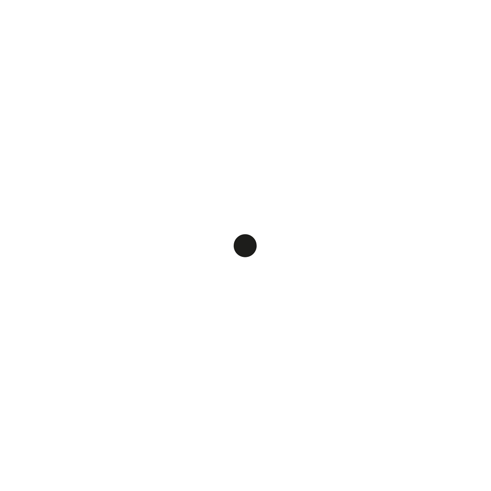 Точка для Custom desktop logo