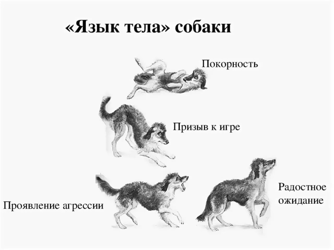 Придумать рассказ из слов