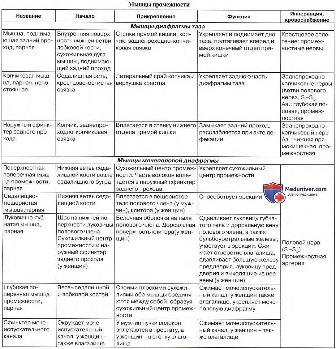 ГАЗ 21 чертежи кузова