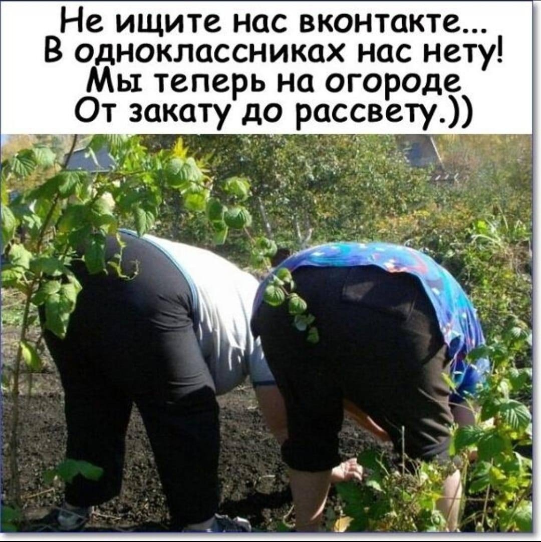 Зрелая с большой попой на улице