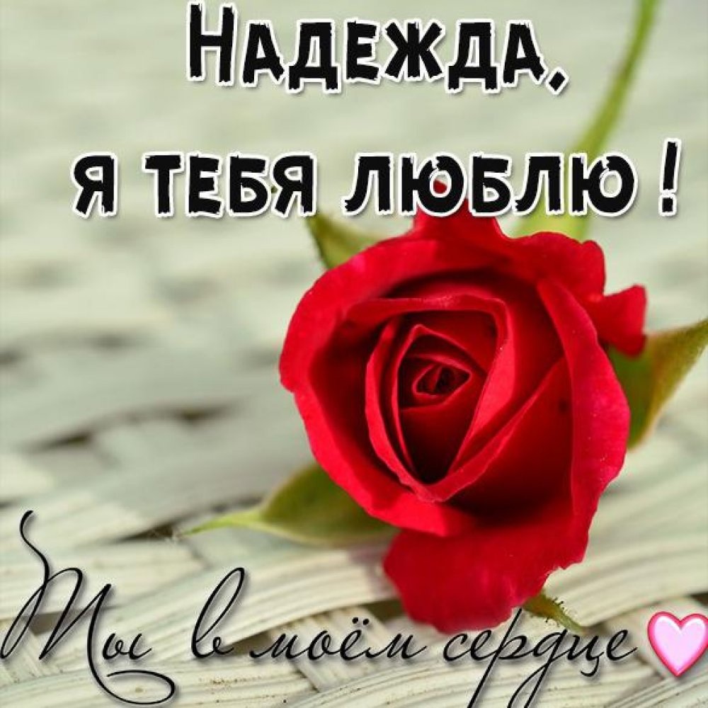 Я безумно тебя люблю