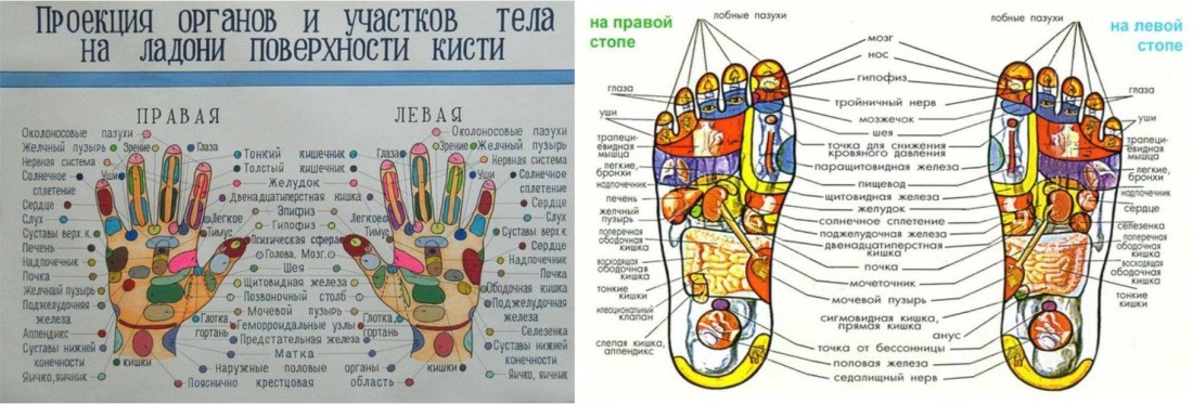 Точки на руках отвечающие за органы тела человека в массаже