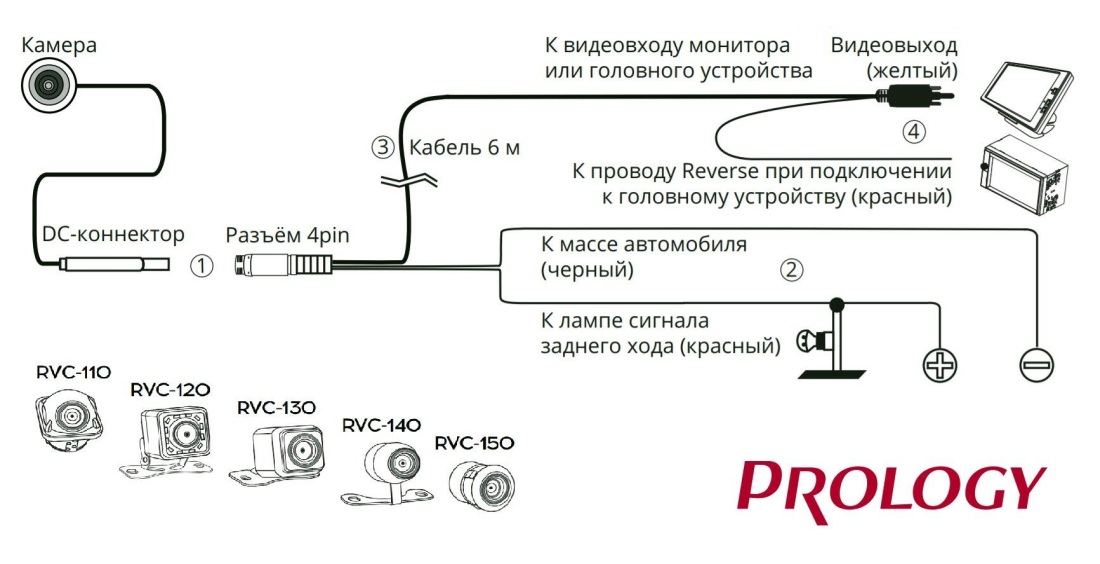 Голые парни сзади фотосессия
