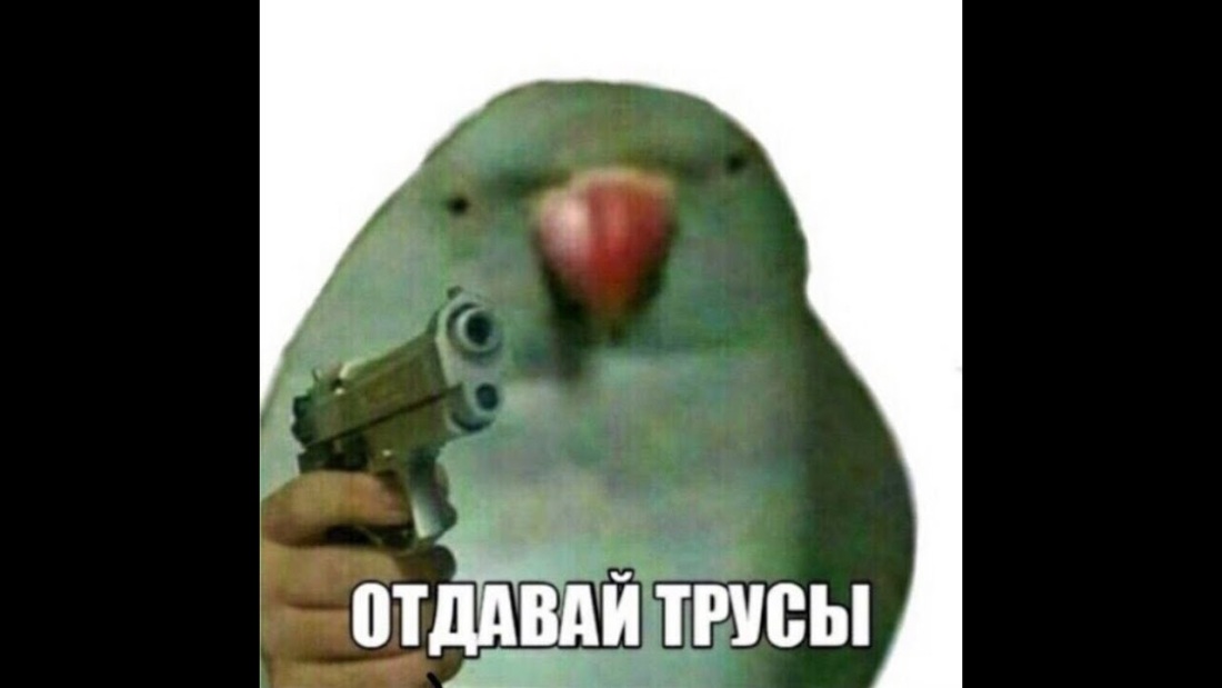 Кишечник сигмовидная сигмовидная кишка