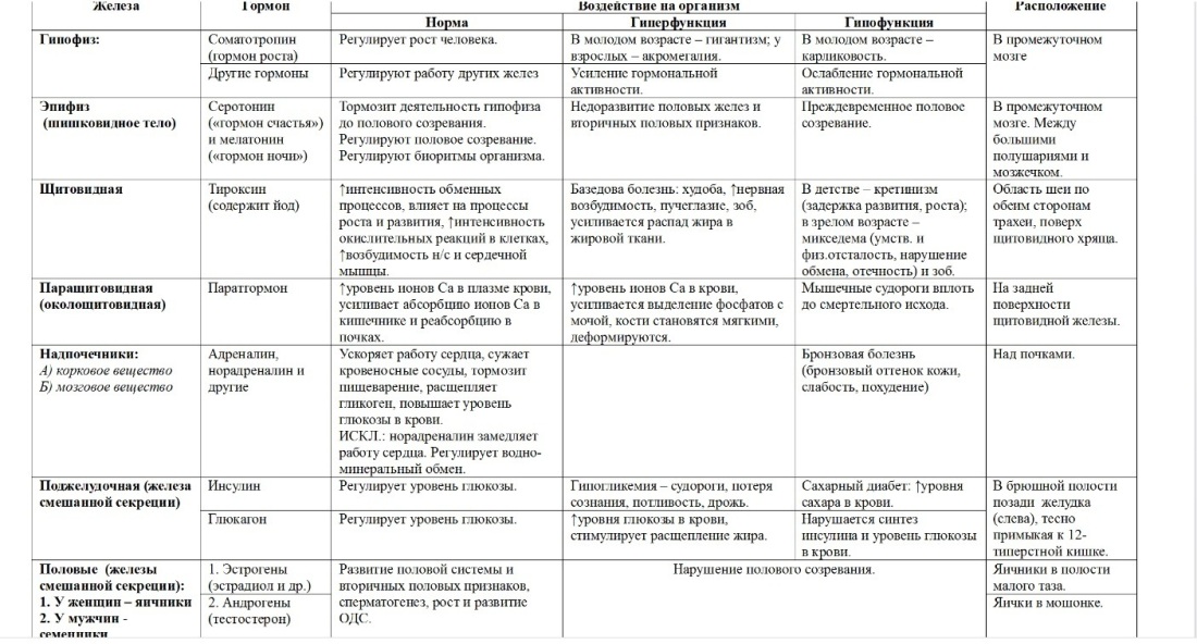Строение и функции желез внутренней секреции таблица