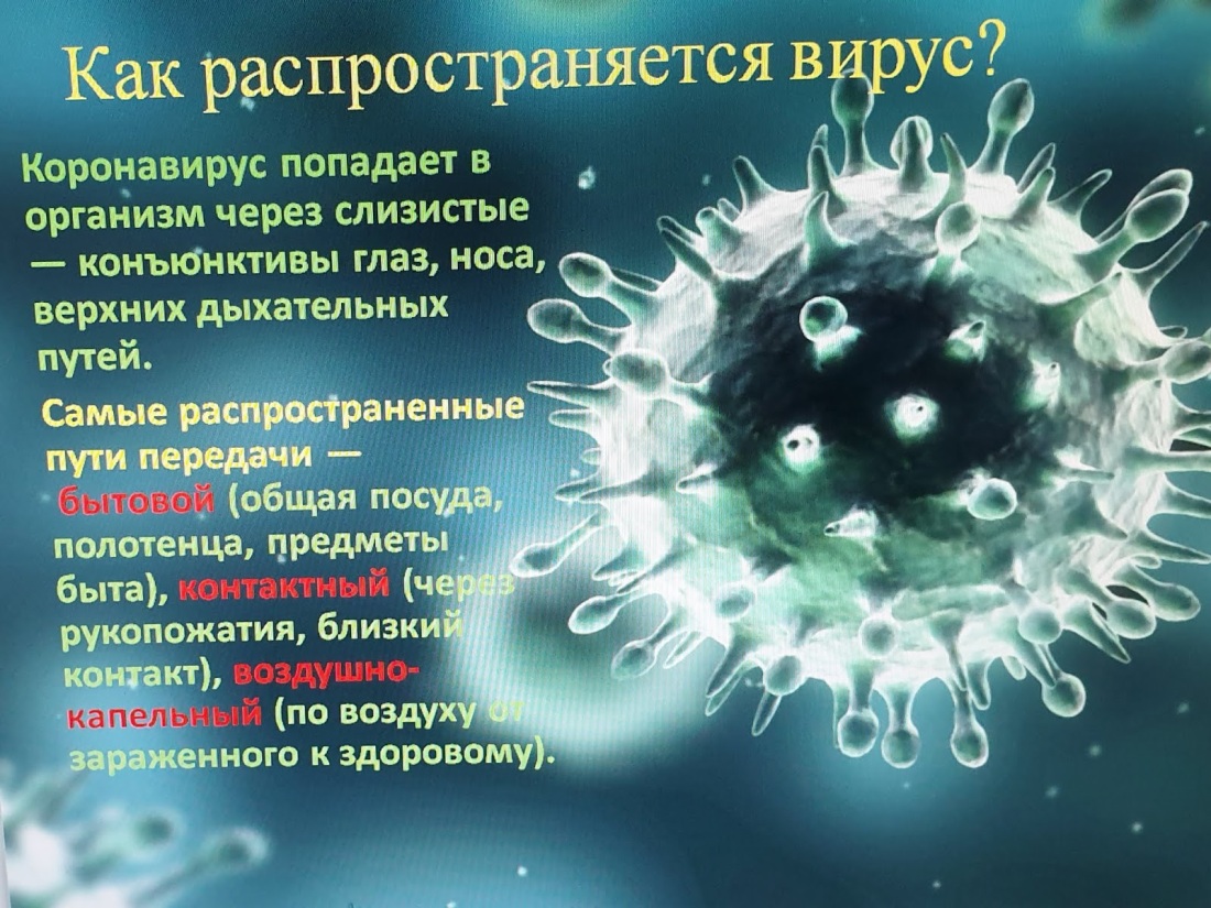 Как коронавирус попадает в организм