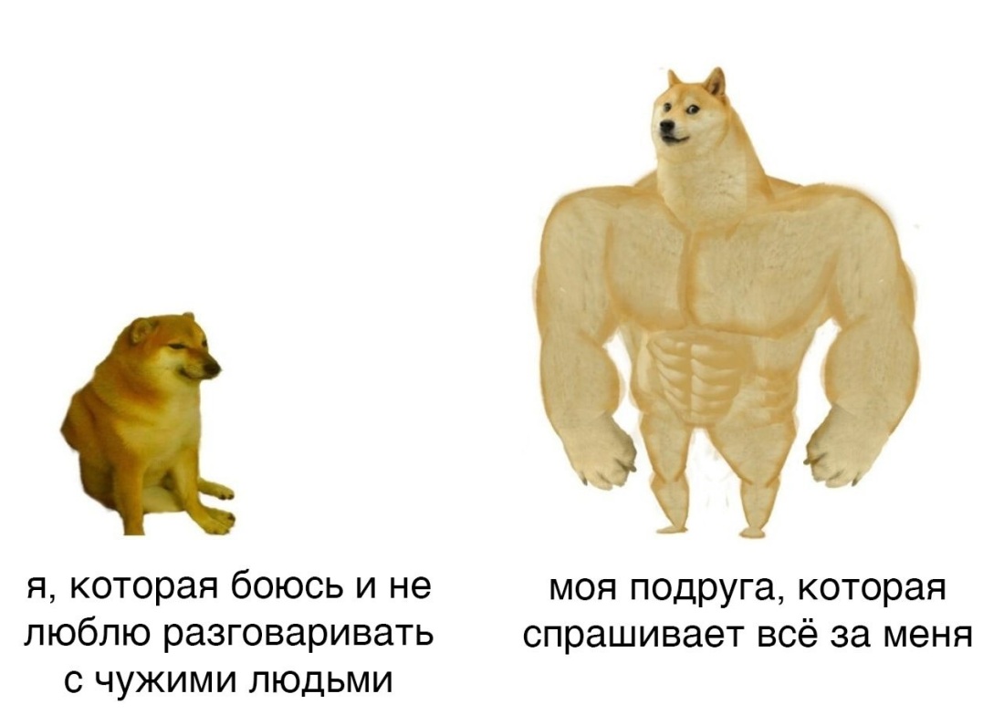 Doge качок