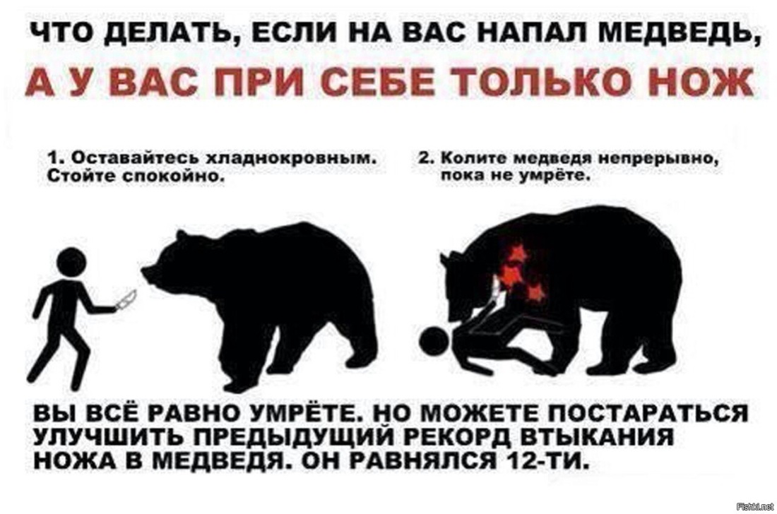 Что делать если напал медоед