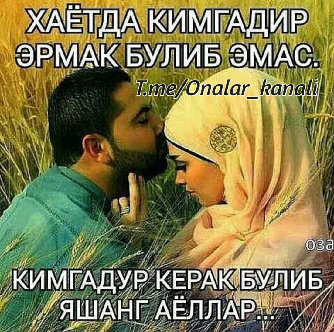 Шер ХАКИКАТ