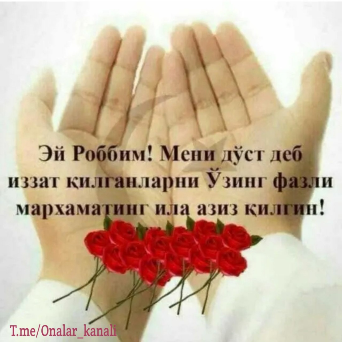Афоризм сузлар