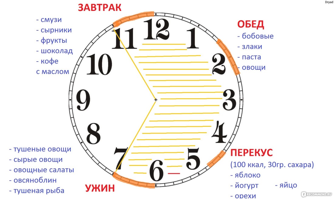 Интервальное голодание 16/8 схема