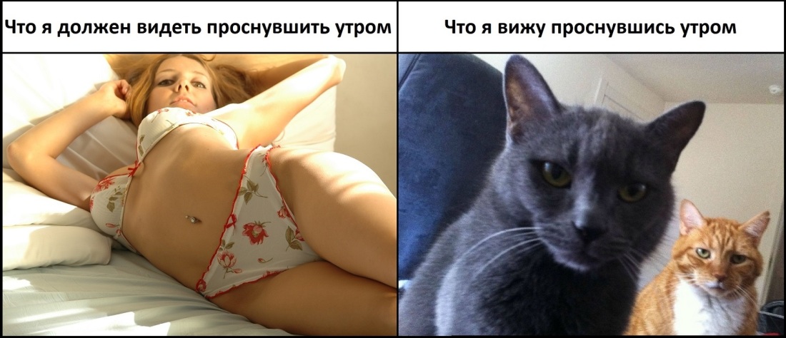 Анал на природе за деньги