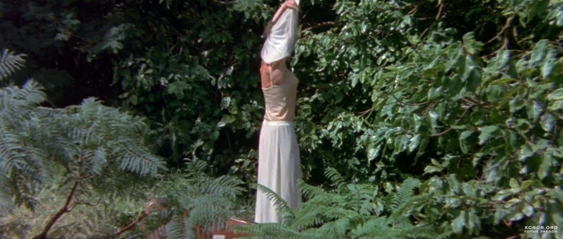 Боги, наверное, сошли с ума (1980)