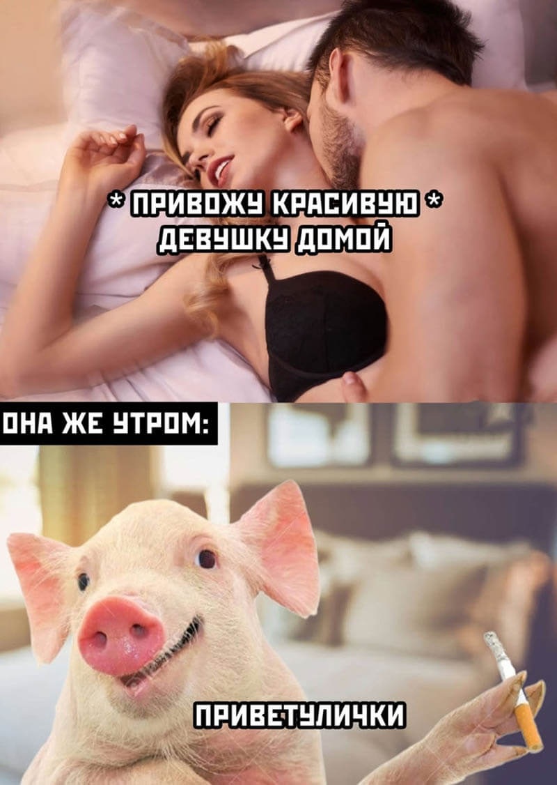 Современные приколы в картинках