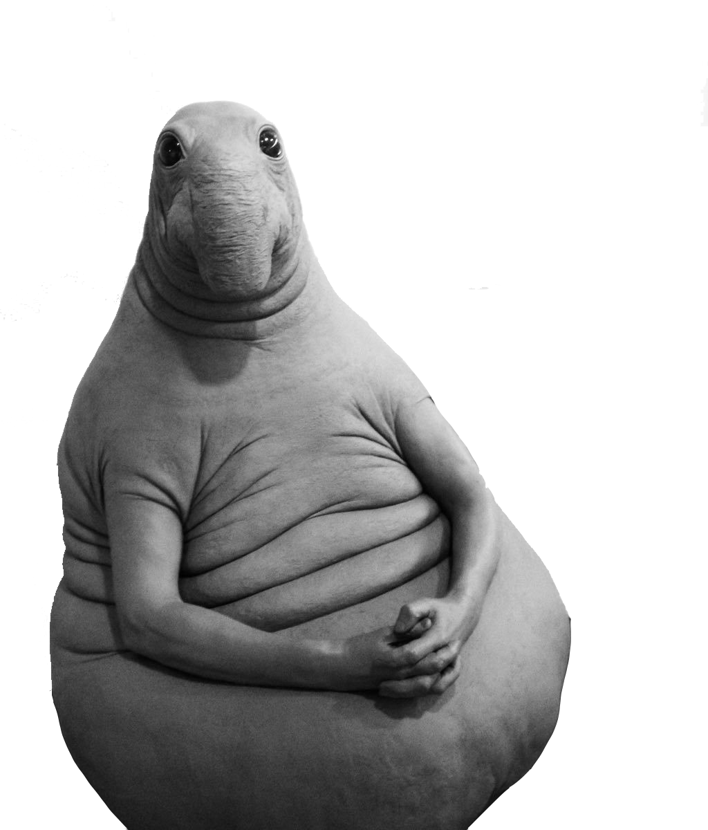 Ждун жрун