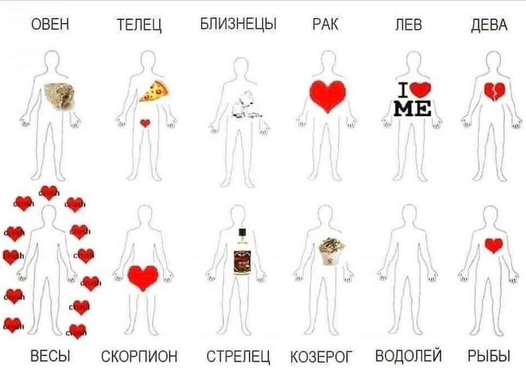 Ксюша стример тренер