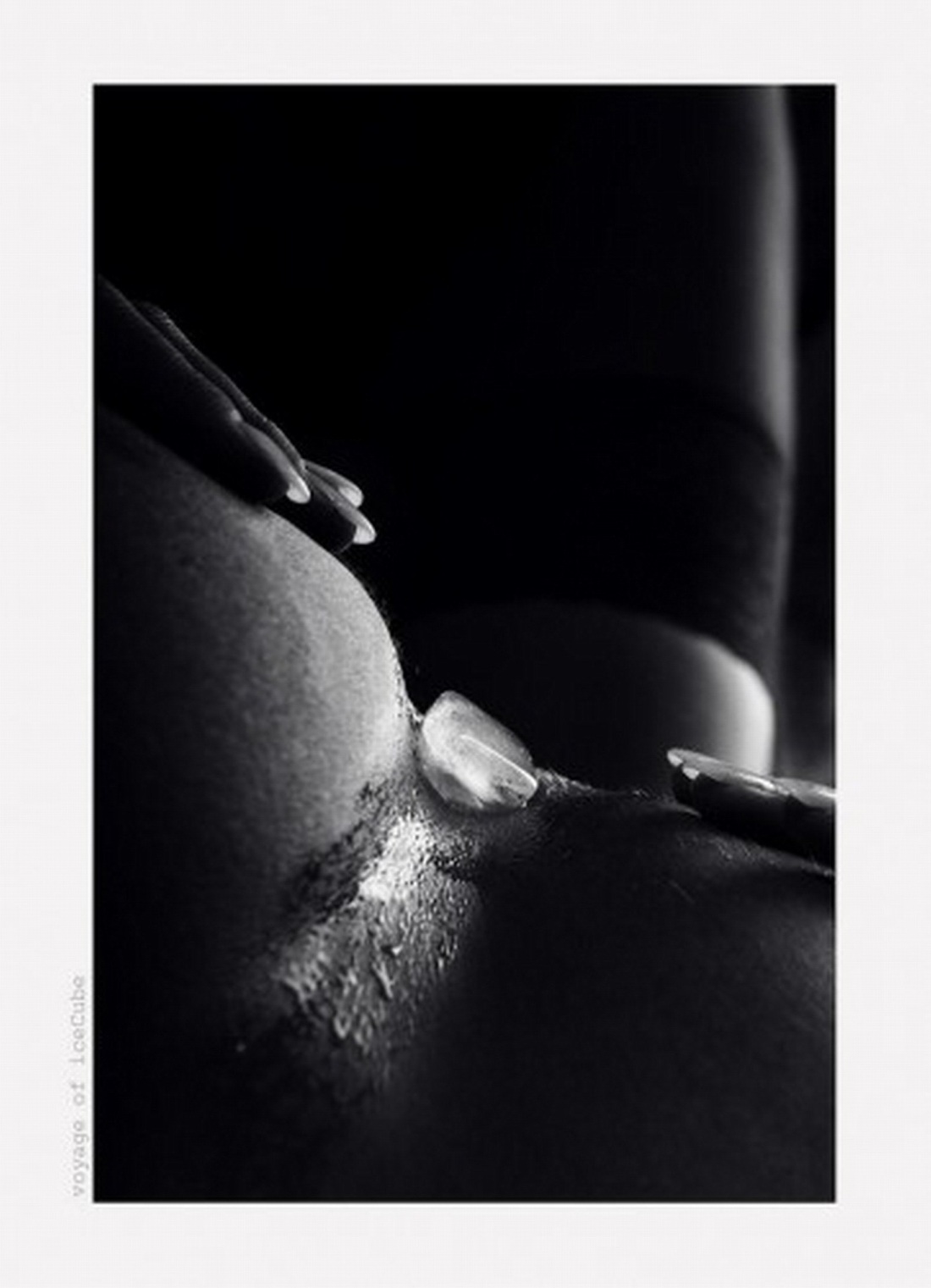 Bilous_p_-the_Beginner_39_s_Guide_to_photographing_nudes.pdf