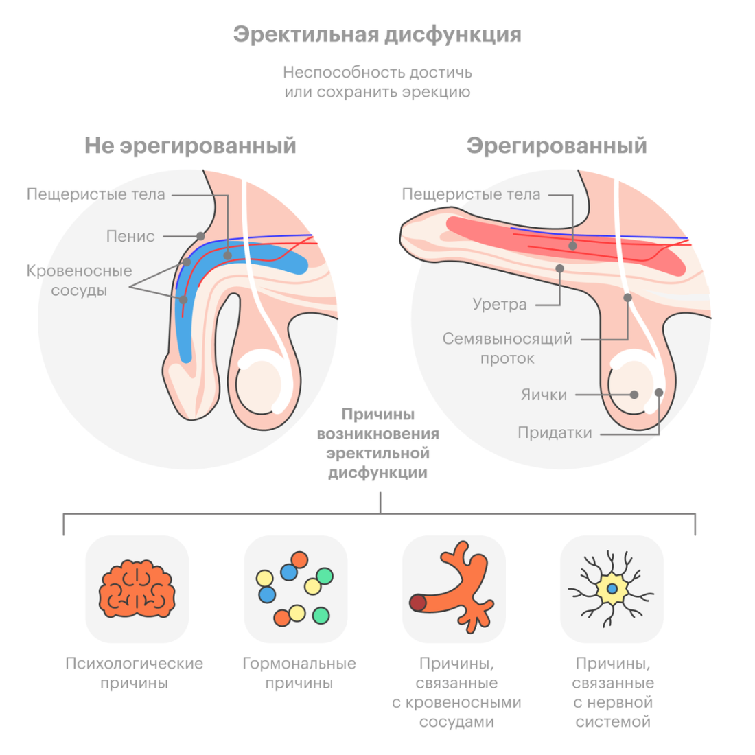 Перктивная дисфункция
