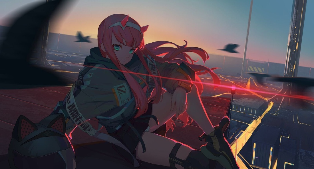 2b и Zero two