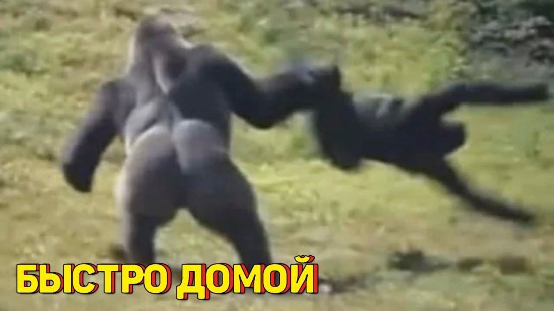 Линда Лапиньш в сериале игра на выживание