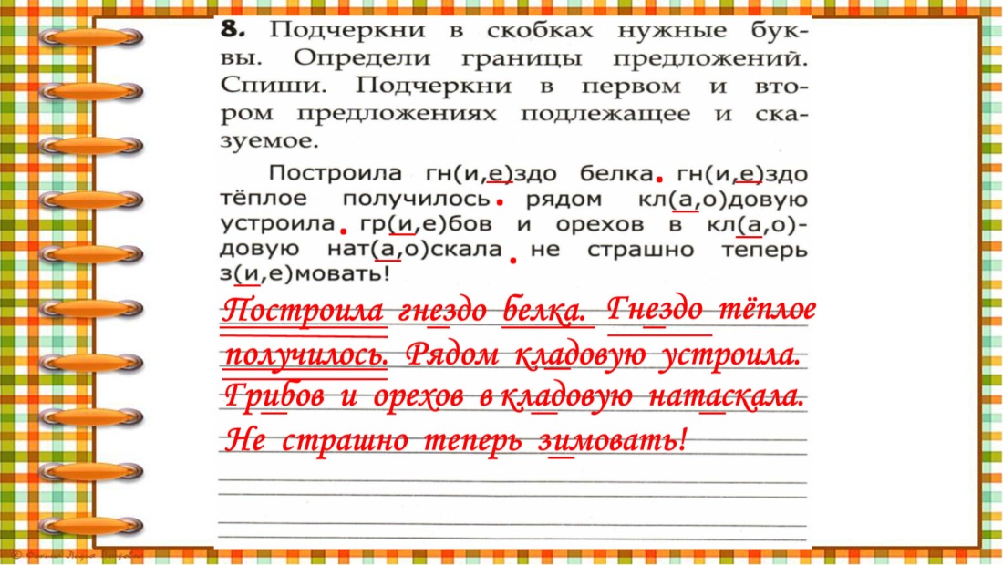 Жалюзи девушка