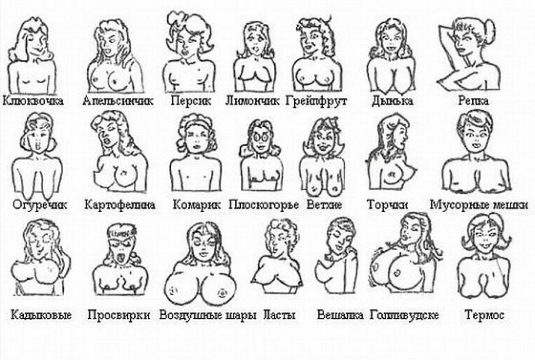 Виды груди