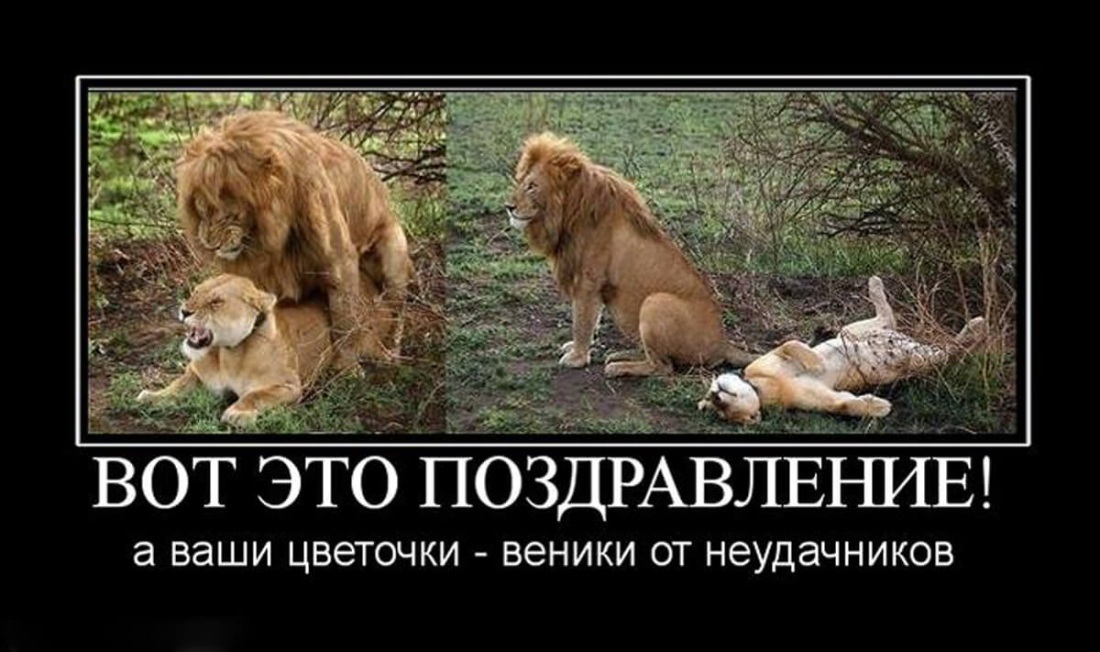 Выебал медсестру на столе