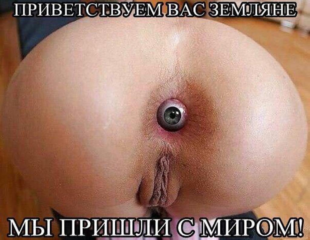 Волосатый анал толстых баб