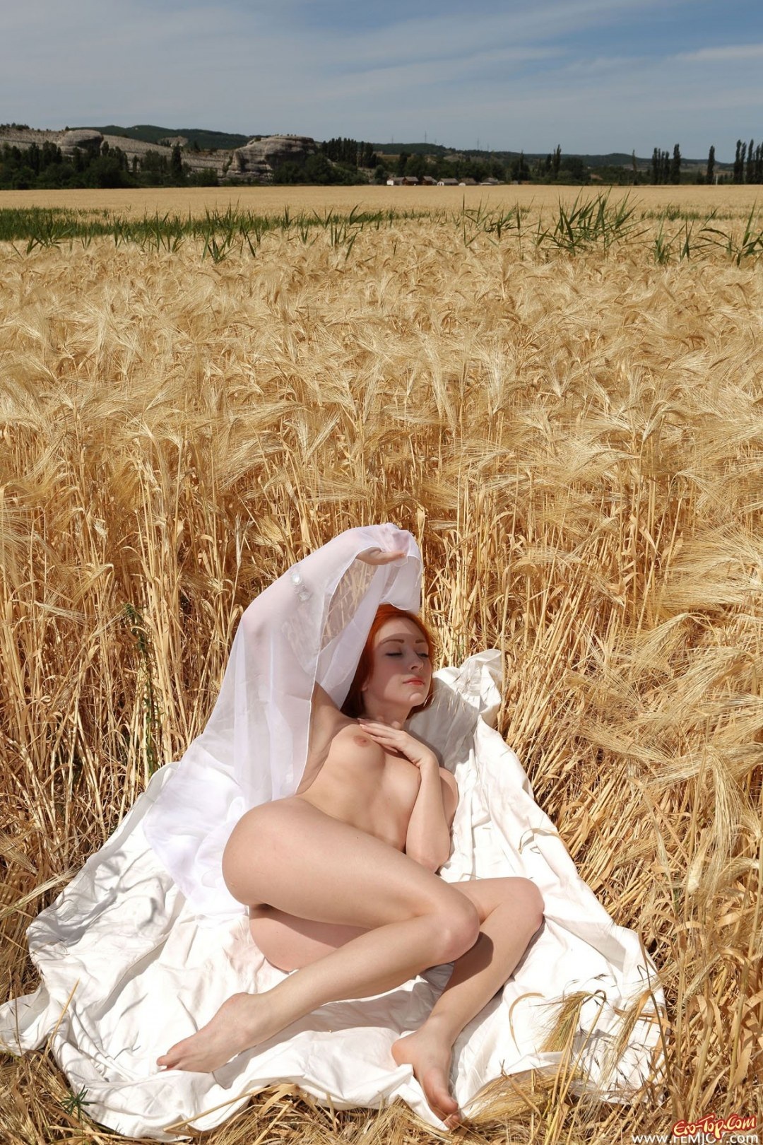 Голая женщина в пшеничном поле