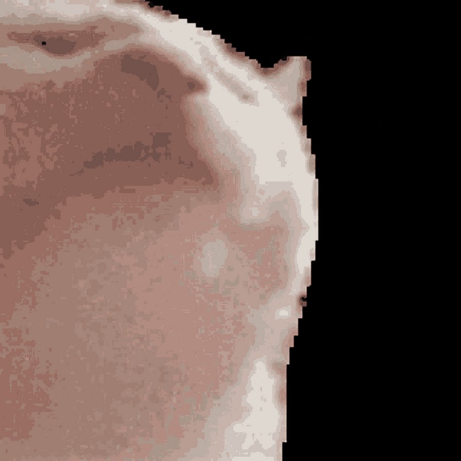 Гифка кот трясет головой
