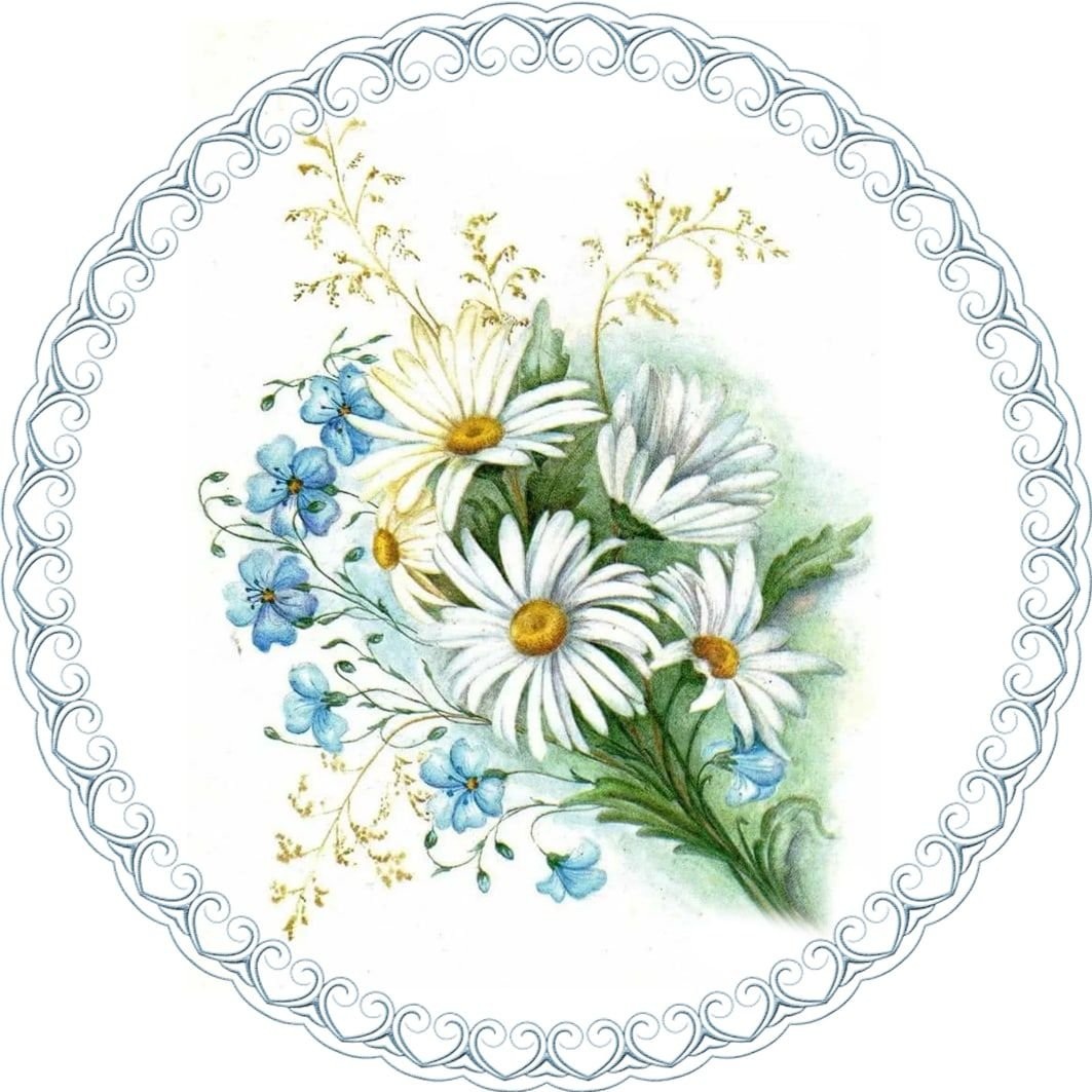 Васильки букет рисунок