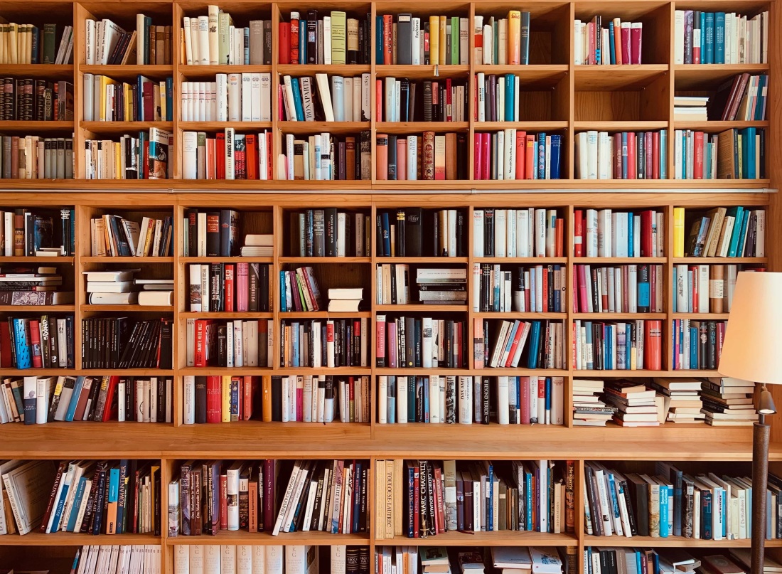 Девушка с книгой