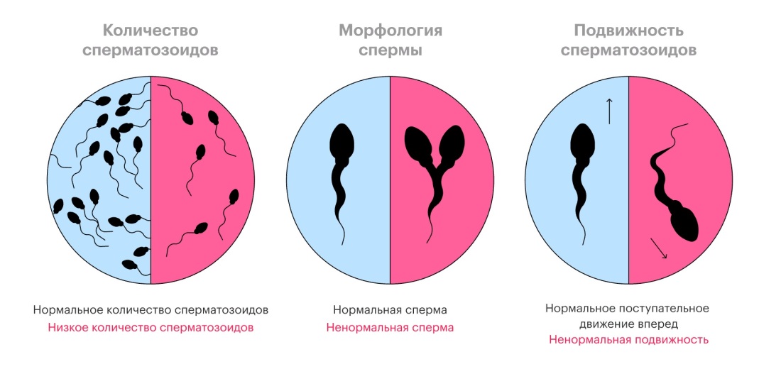Обконченная Кендра ласт